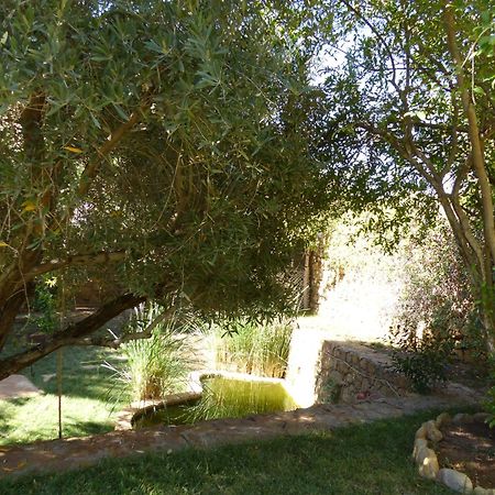 Agadir-Taghazout Magnifique Villa Dar Lina 4 Etoiles المظهر الخارجي الصورة